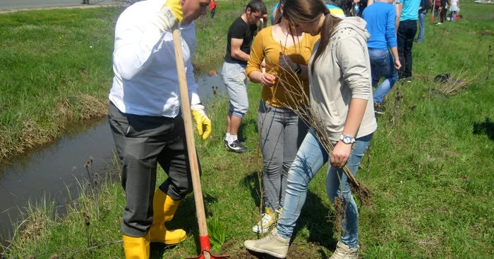 Acţiunea va avea loc în data de 17 martie, de la ora 10.00, în localitatea Oar în faţa Casei de tip familial ”Ştefania”  FOTO  arhivă