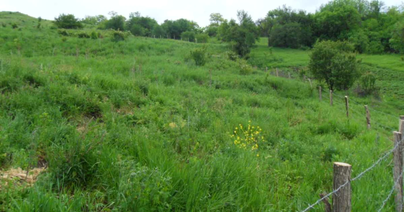 Termenul a fost prelungit, potrivit autorităţilor