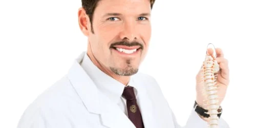 În lipsa discurilor intervertebrale, coloana  şi-ar pierde mobilitatea