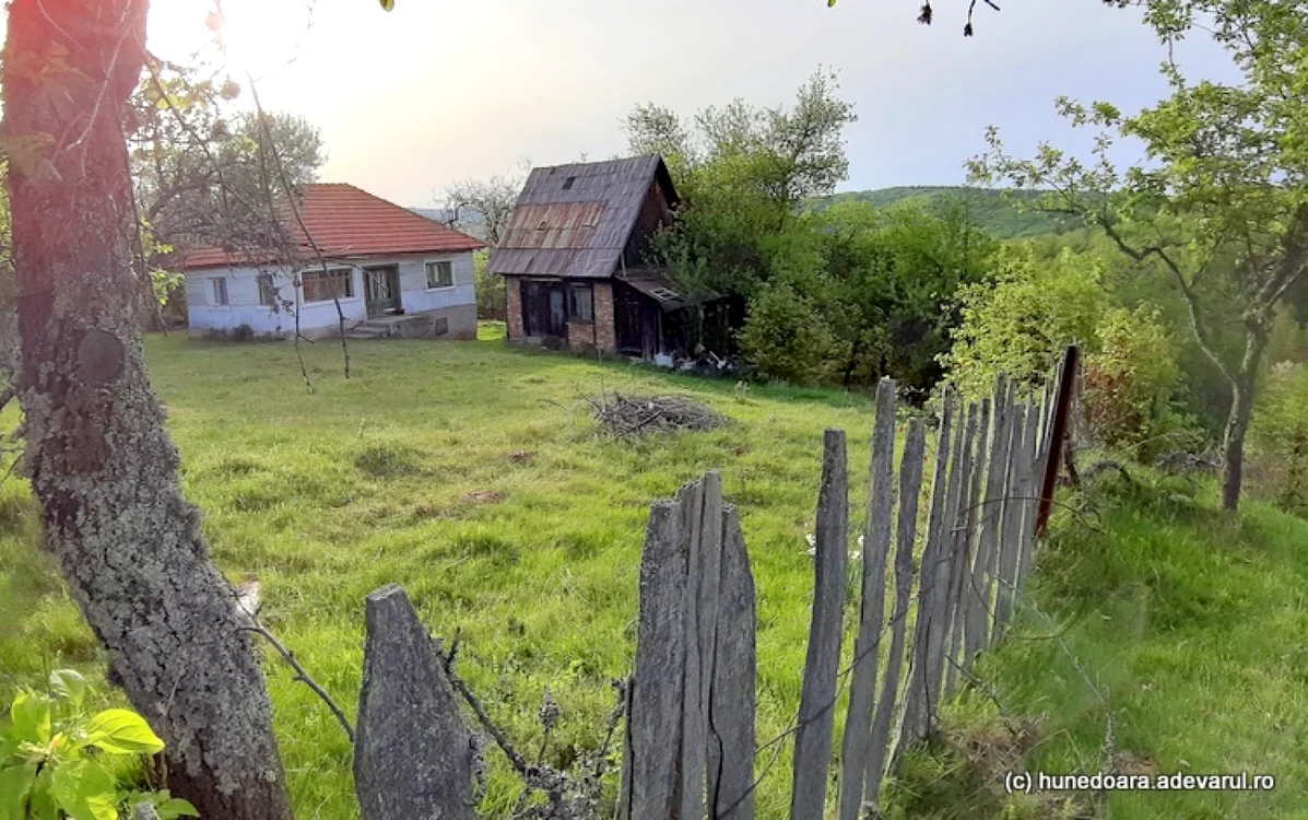 vadu dobrii foto daniel guta adevarul