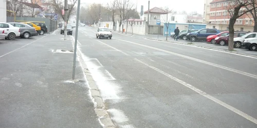 ninsare tulcea