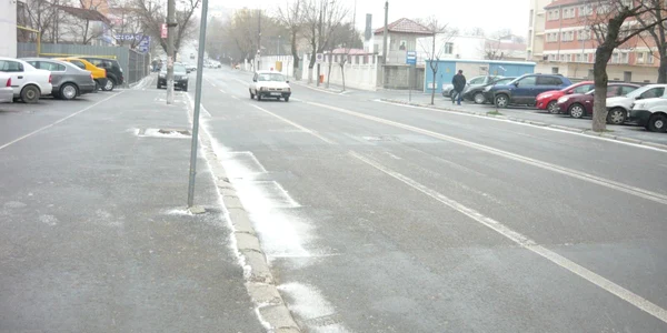 ninsare tulcea
