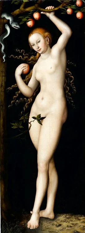 Probabl vechile picturi au fost de mare ajutor în crearea conceptului