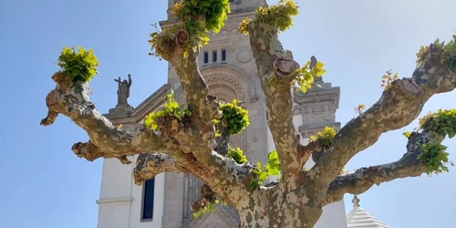 Ioan Dan Gaşpar cu bicicleta în Portugalia