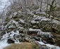 Valea Anineșului Drumul spre Fața Cetei (18) jpg