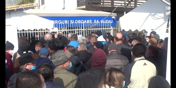 buzau