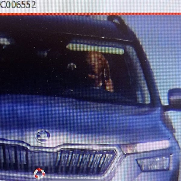 Un șofer a fost amendat de polițiștii din Slovacia după ce câinele său a fost surprins la volan