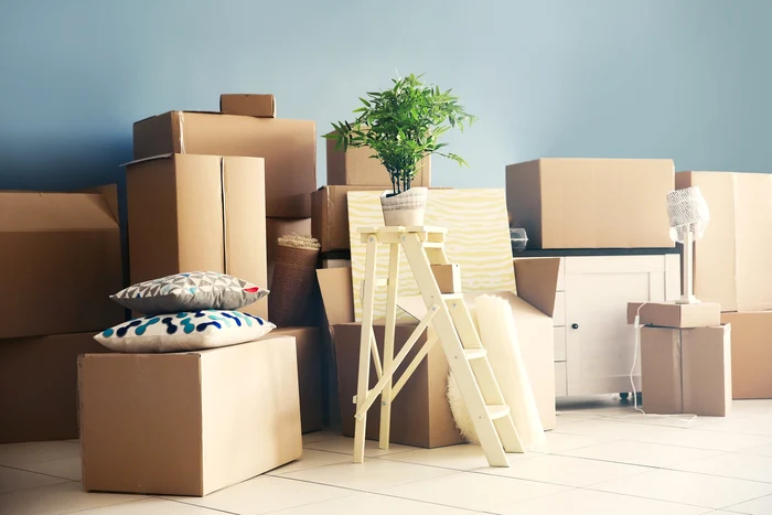 Iată ce nu trebuie să uiți dacă îți schimbi biroul sau renovezi foto: Shutterstock