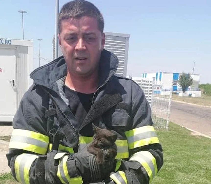 Intervenţia a durat aproximativ 20 de minute FOTO Facebook/ISU Călăraşi