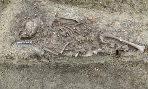 mormantul unui copil vampir a fost descoperit de muncitorii care scoteau din pamant radacini langa o biserica istorica din polonia 923714 jpg