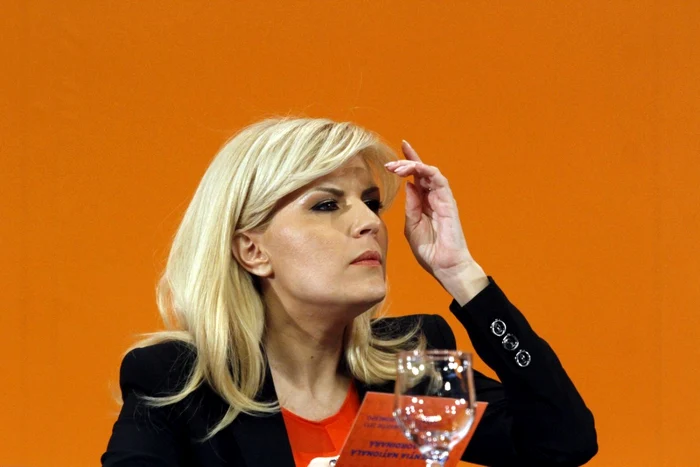 Elena Udrea critică activitatea comisiei de revizuire a Constituţiei FOTO Mediafax