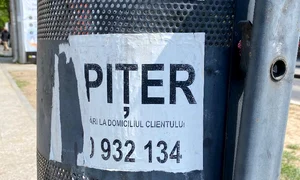 p 24 M  Plesu jpg