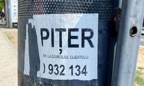 p 24 M  Plesu jpg