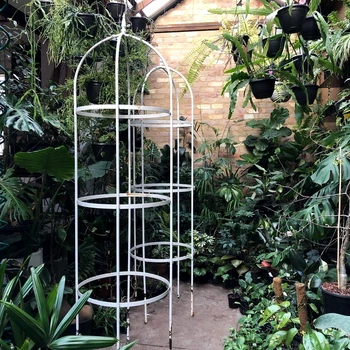 3 gradina 2 jpg jpeg