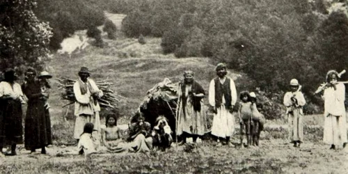 tigani