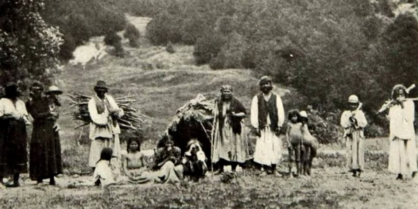 tigani