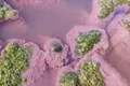 lacul techirghiol apa roz explicatie fenomen constanta 775659 webp