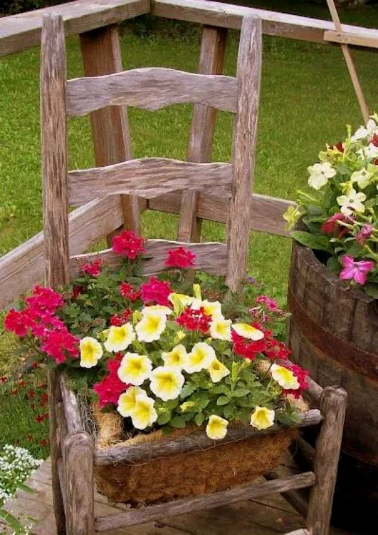 amenajare gradina flori