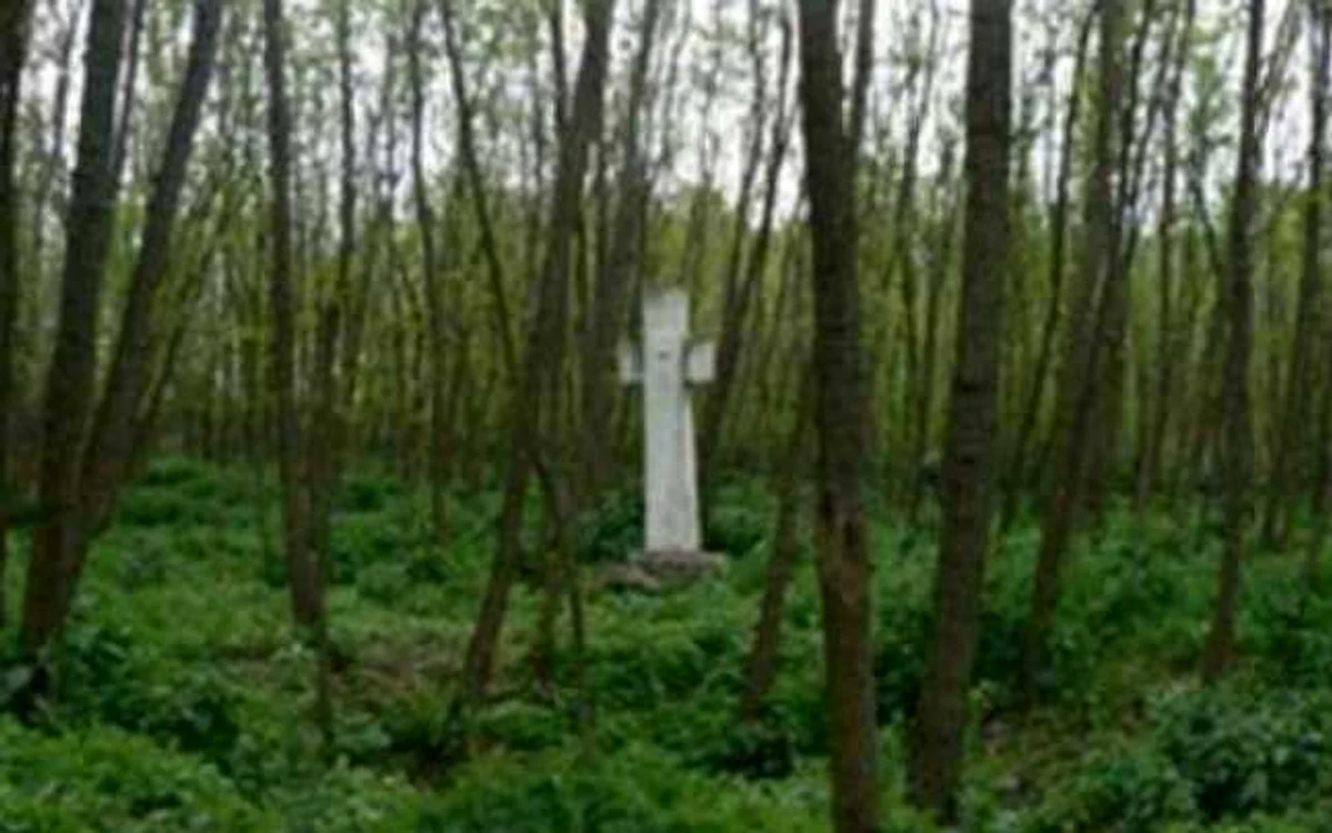 Crucea din pădure, singura martoră a masacrului