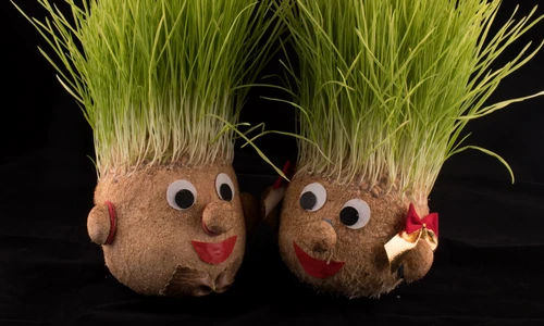 2 shutterstock 1464535415 jpg jpeg