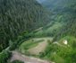 runcu mare foto daniel guta adevarul