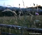 Satul Urșici din Hunedoara Foto Daniel Guță ADEVĂRUL (5) JPG
