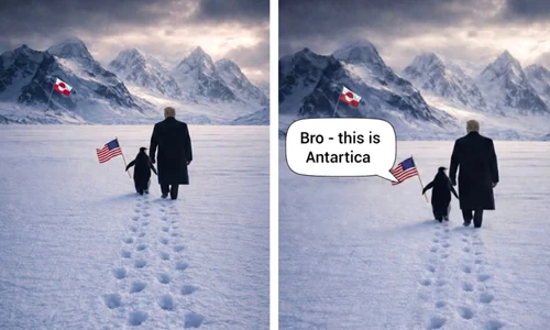 trump pinguin X jpg