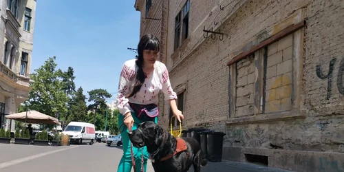 Câine ghid pentru nevăzători FOTO Ş.Both