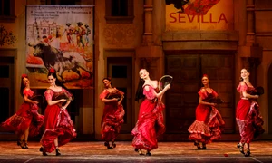 foto facebook opera din iasi jpg