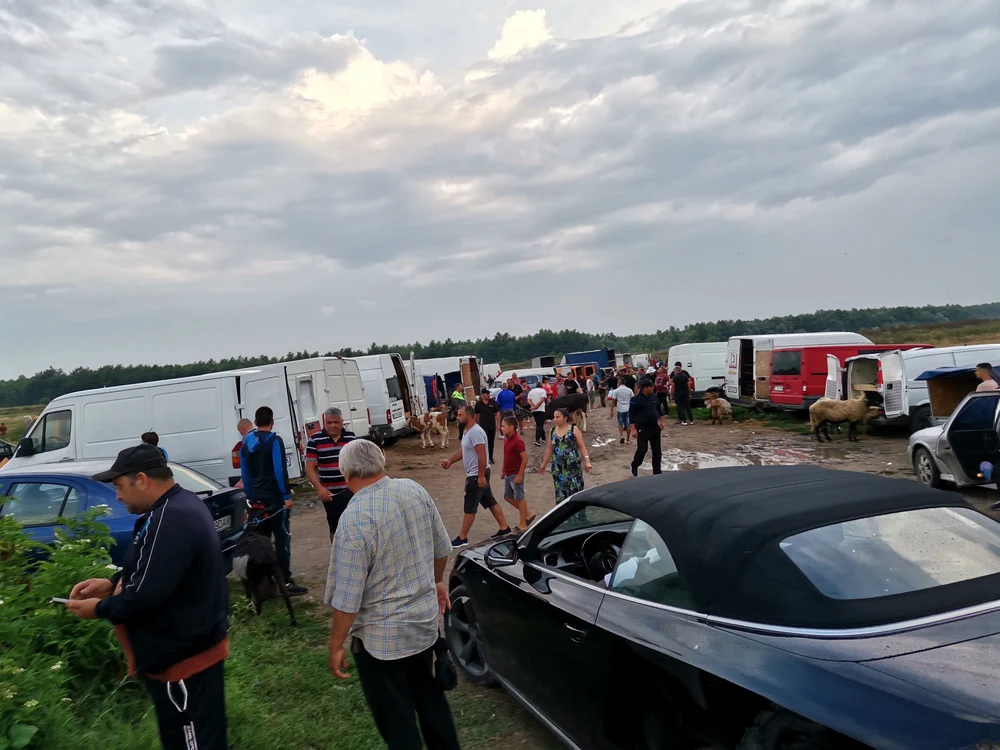 În fiecare duminică se plătește taxă pentru sute de mașini FOTO: A.M.