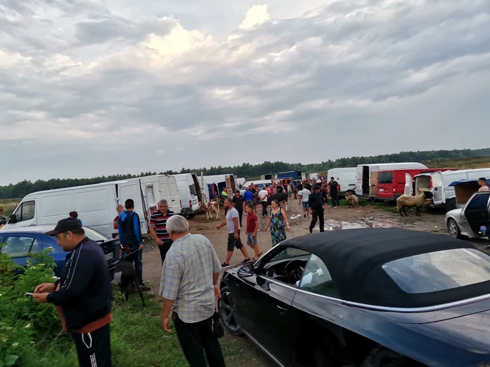 În fiecare duminică se plătește taxă pentru sute de mașini FOTO: A.M.