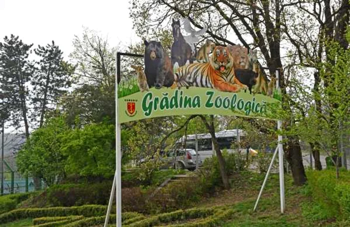 zoo garboavele Galati