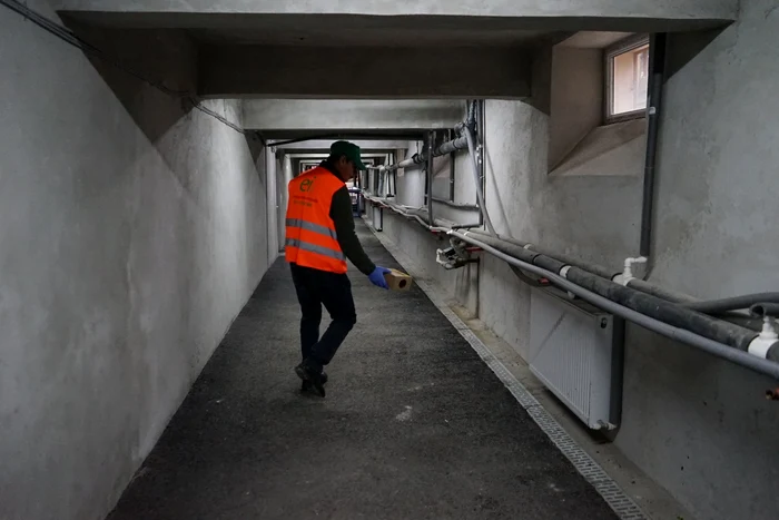 Otrava pentru șobolani care se pune în spațiile unde se face deratizarea