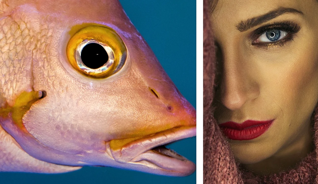 10 lipstick ok ok jpg jpeg