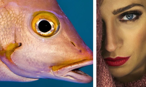 10 lipstick ok ok jpg jpeg