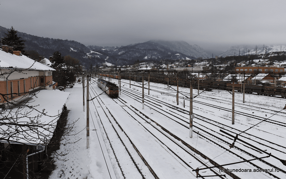 Drumuri și o cale ferată au fost blocate, în Hunedoara, de arbori căzuți în urma ninsorilor