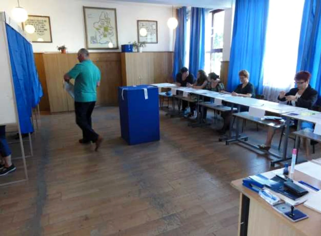 alegeri europarlamentare olt 2014