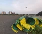 Baza sportivă ridicată de CNI la Timișoara FOTO Ș.Both