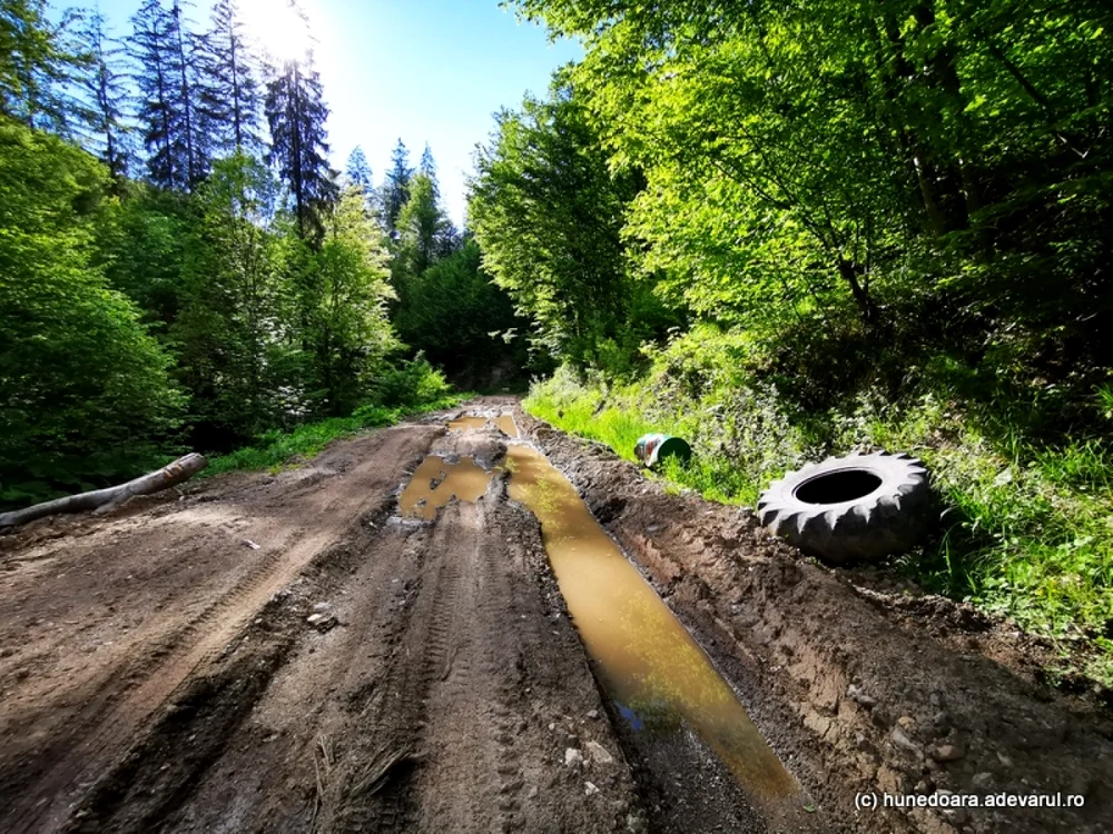 Drumul Marmurei Foto: Daniel Guţă, ADEVĂRUL