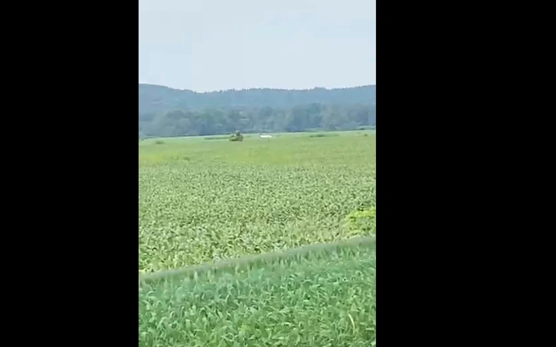 Avionul furat, la scurt timp după aterizarea forțată. Foto: WTVA 9 News