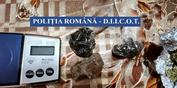 În urma percheziţiilor au fost ridicate 950g canabis