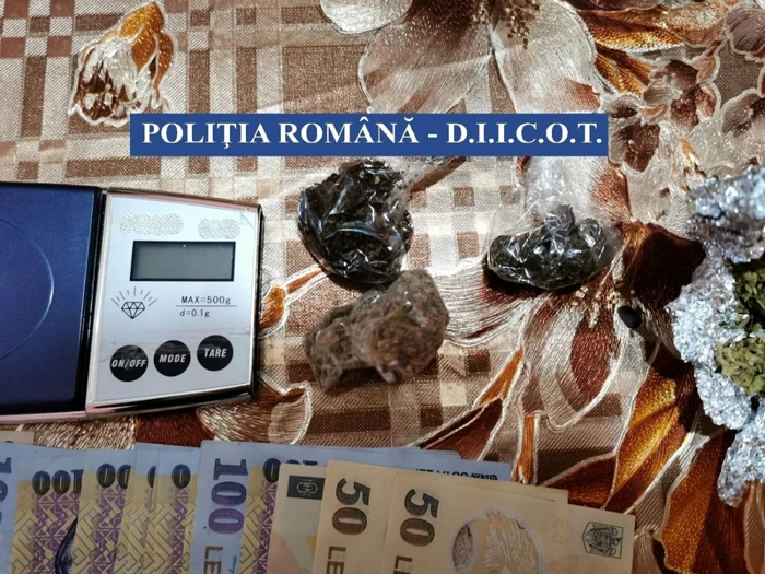 În urma percheziţiilor au fost ridicate 950g canabis, mai multe telefoane mobile si suma de 3600 lei.Poliţia Română D.I.I.C.O.T