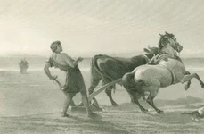 „Ulise arând țărmul mării”, de Heywood Hardy (© New York Public Library)