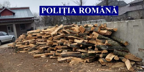 slobozia transport ilegal de lemne oprit d epolitisti foto ipj ialomita