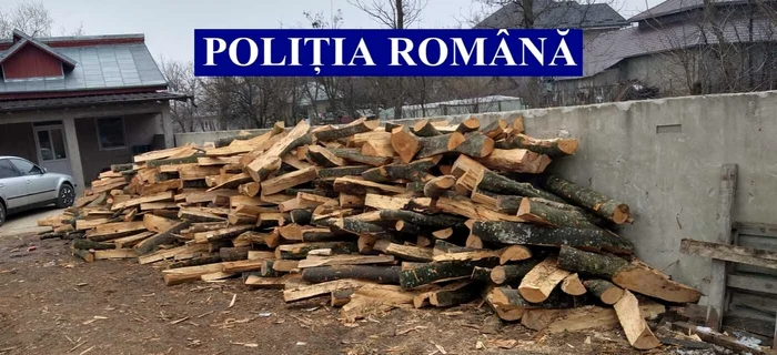 Poliţia a confiscat material lemnos deţinut ilegal FOTO IPJ Ialomiţa