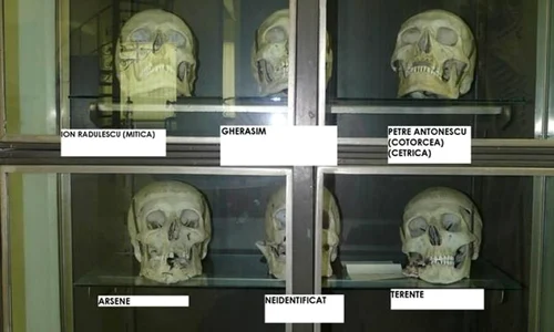 Nelegiuirile banditului Cocos jpeg