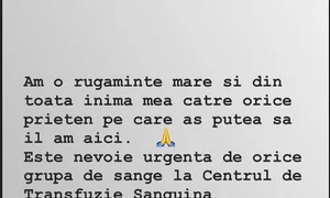 Mesajul publicat de Delia pe Instagram  jpeg