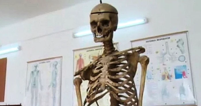 Anatomia este făcută pe scheletul unui profesor FOTO Daily Mail