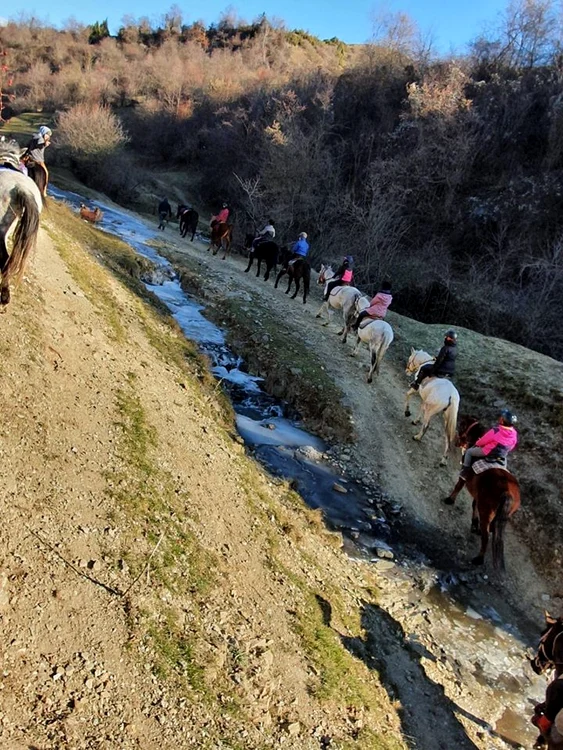 11 ana fiica roxanei ciuhulescu tabara de echitatie hobby calarie cai 12 jpg jpeg