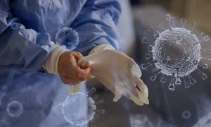 id134468 inquam photos george calin png